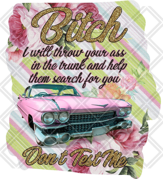 Bitch I will throw your ass in the trunk and help them search for you dont test me png Digital Download Instand Download - Do it yourself Transfers