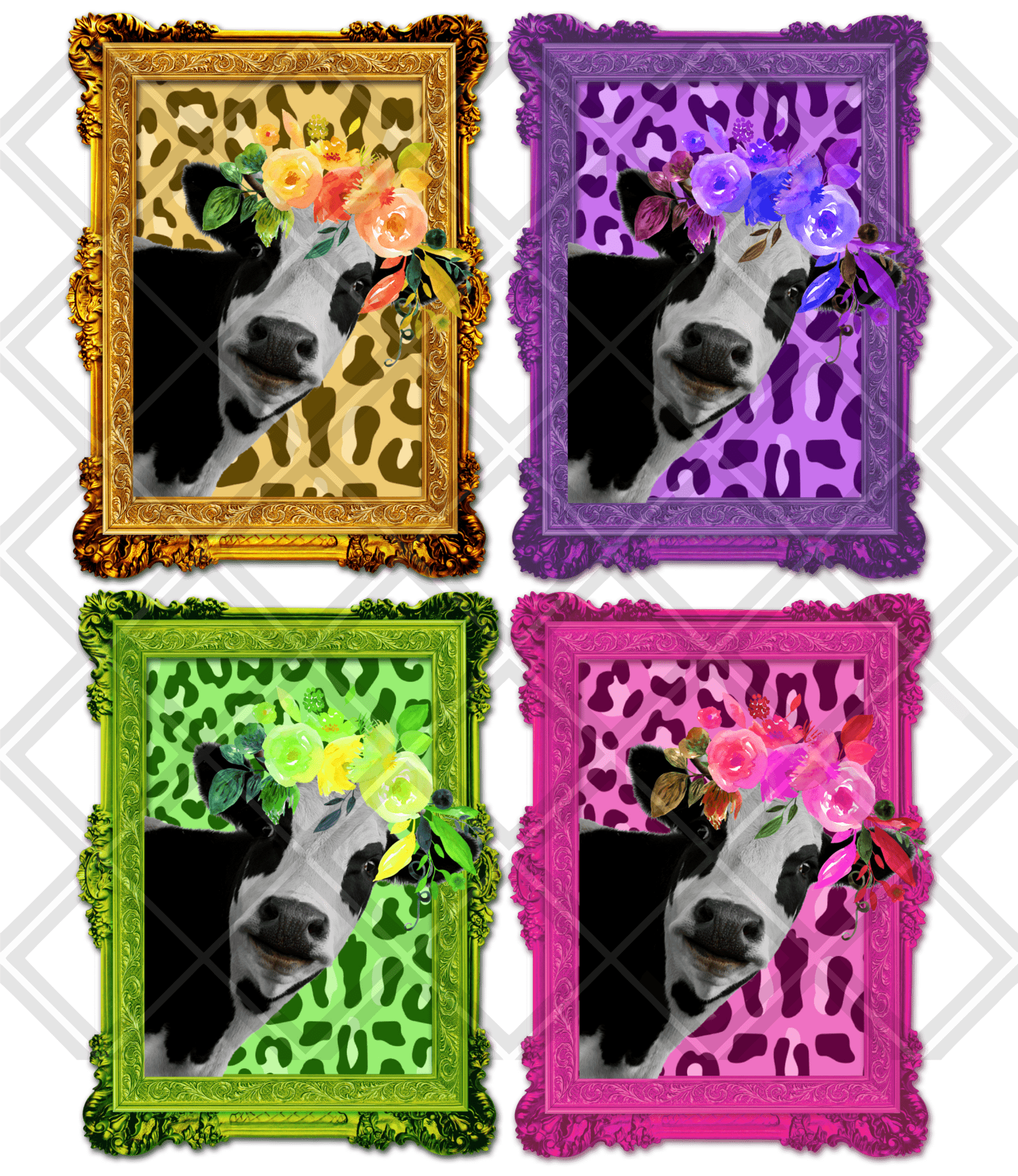 COW MULTI COLOR FRAME Digital Download Instand Download - Do it yourself Transfers